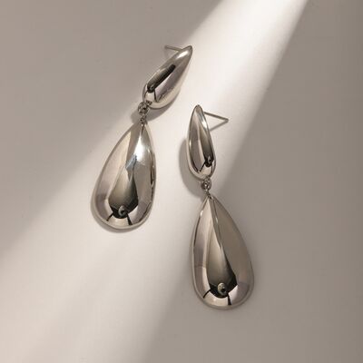 Cove Stainless Steel Dangle Earrings