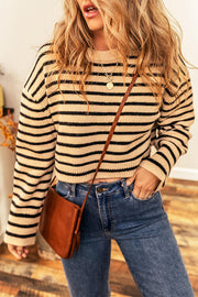 In Bloom Striped Cropped Sweater